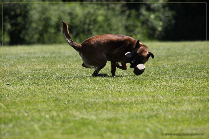 IPO I examen Xavi 27-05-2012